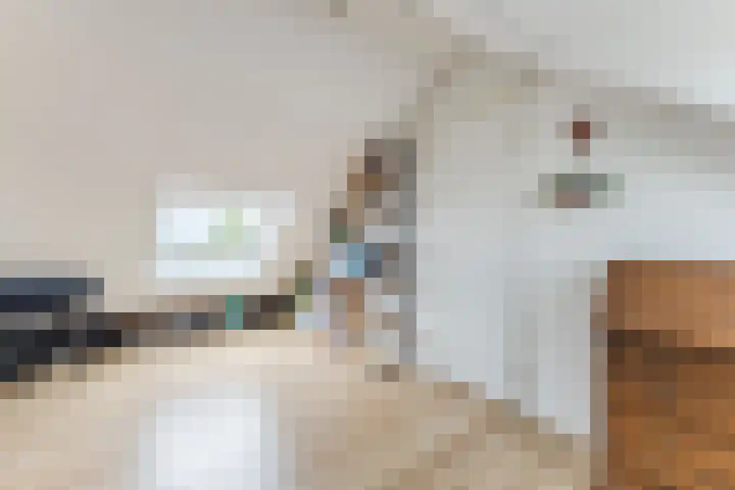 Dorpsstraat 13 Markenbinnen thumbnail 35