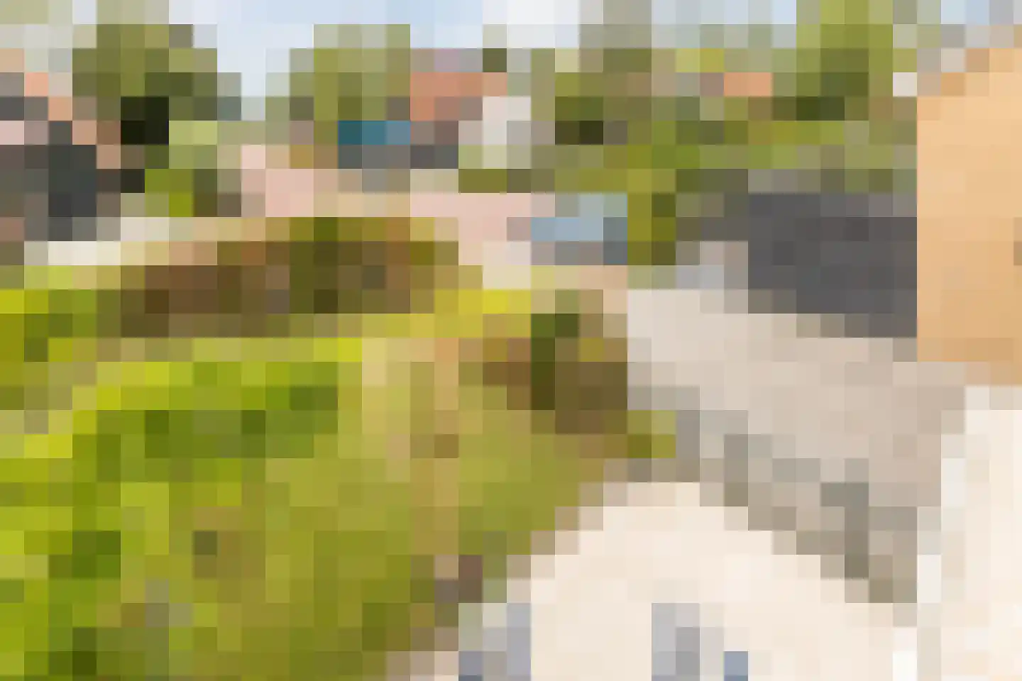 Dorpsstraat 13 Markenbinnen thumbnail 39