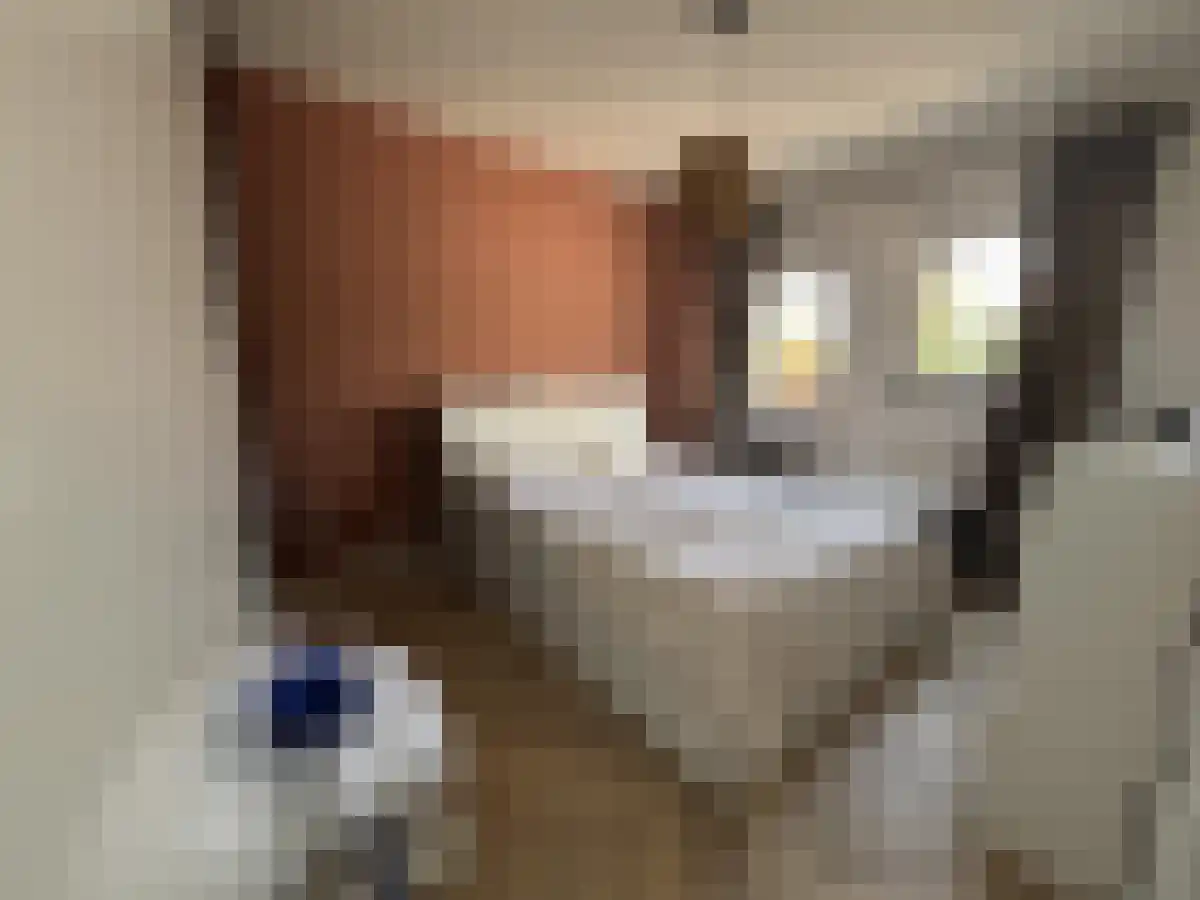 Dorpsstraat 13 Oisterwijk thumbnail 5