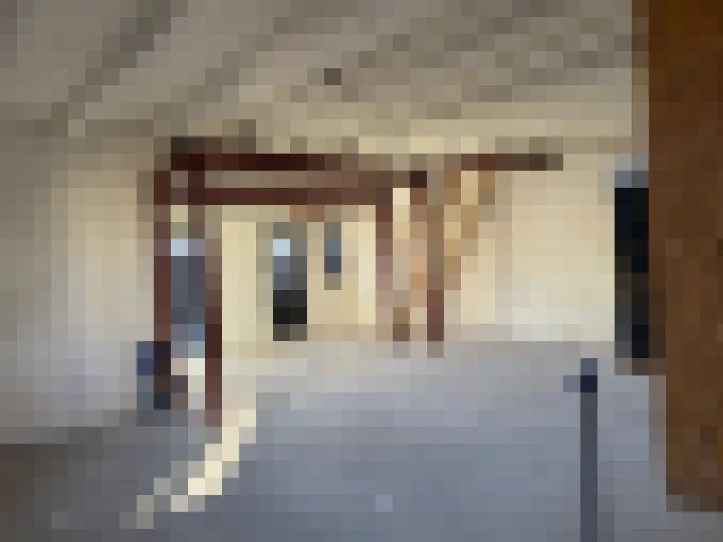 Dorpsstraat 13 Poortugaal thumbnail 6