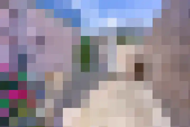 Dorpsstraat 13 Schoonrewoerd thumbnail 4
