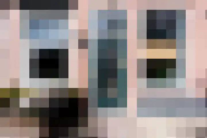 Dorpsstraat 13 Schoonrewoerd thumbnail 7