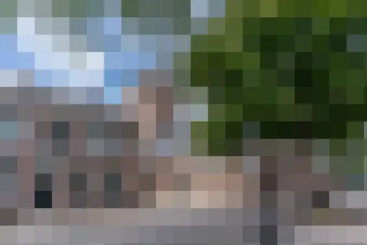 Dorpsstraat 13 Schoonrewoerd thumbnail 72