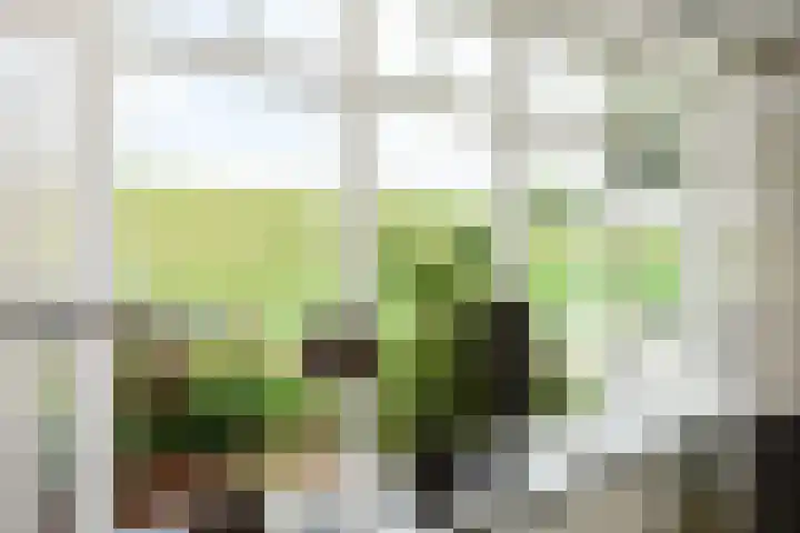 Dorpsstraat 13 Streefkerk thumbnail 17