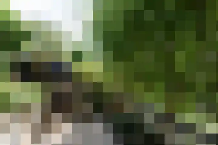 Dorpsstraat 13 Streefkerk thumbnail 5