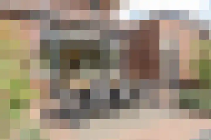 Dorpsstraat 13 Streefkerk thumbnail 6