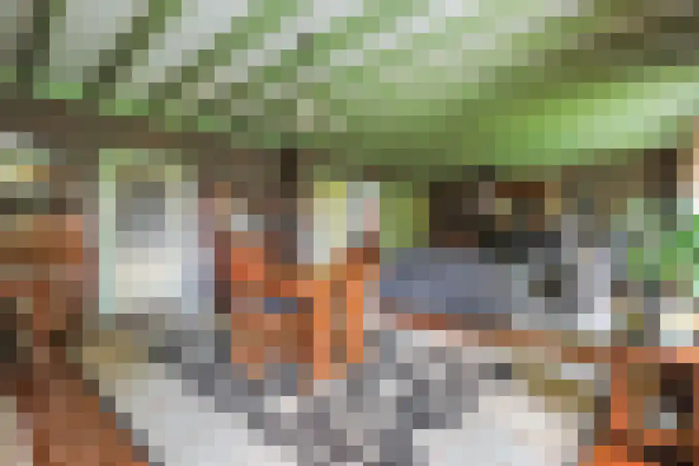 Dorpsstraat 130 Assendelft thumbnail 10