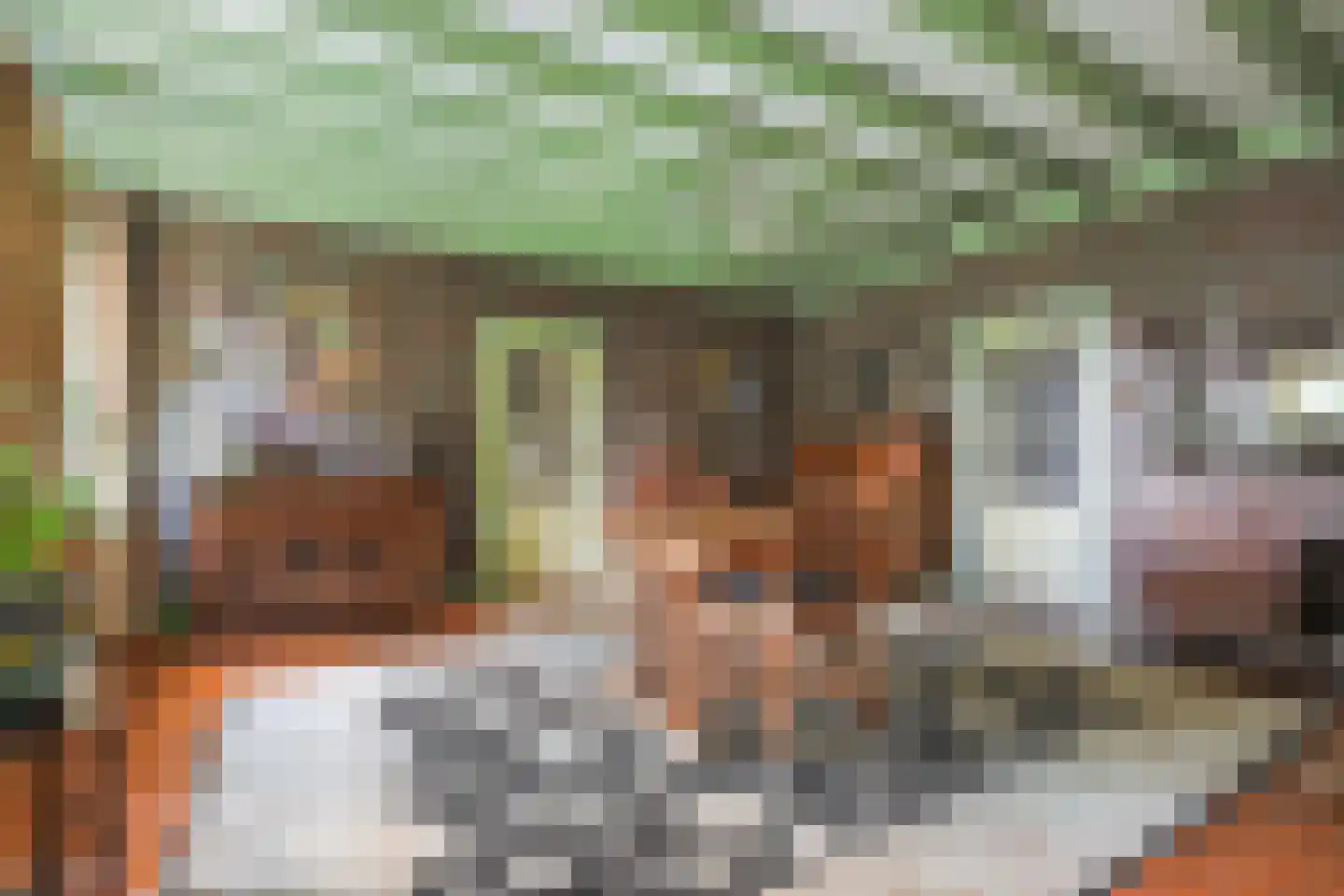 Dorpsstraat 130 Assendelft thumbnail 11
