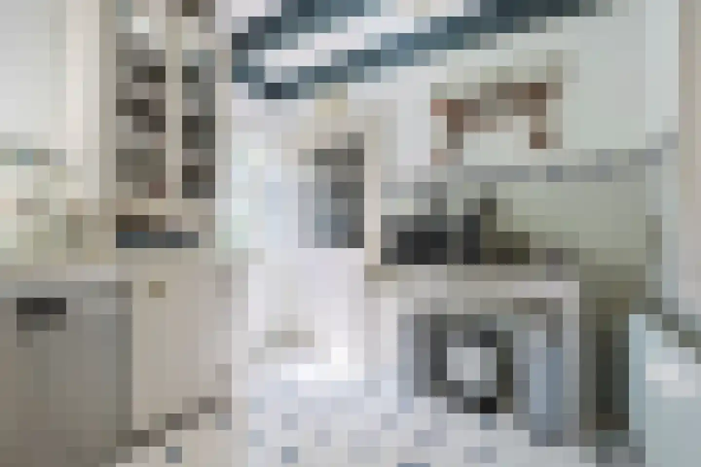 Dorpsstraat 130 Assendelft thumbnail 19