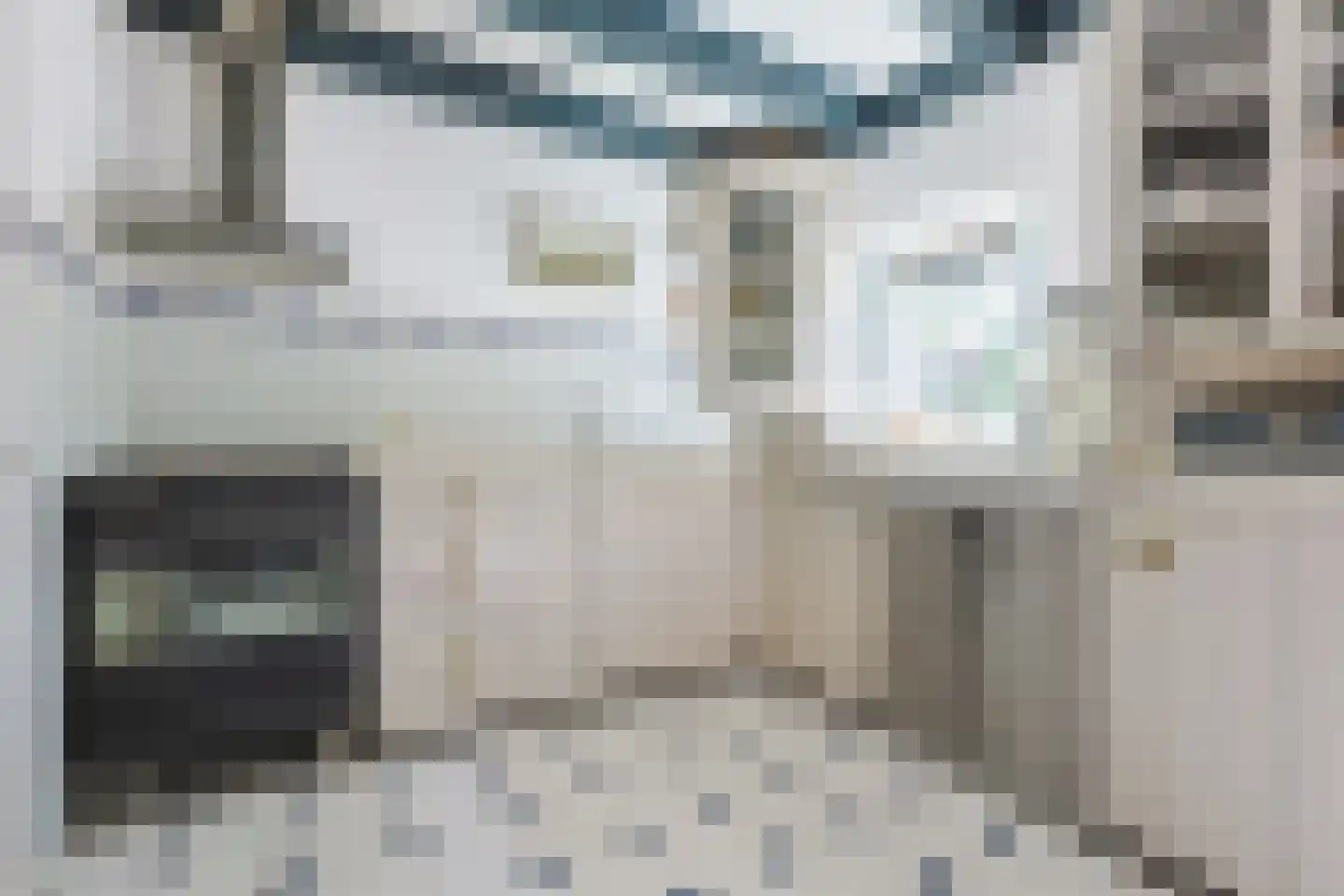 Dorpsstraat 130 Assendelft thumbnail 21