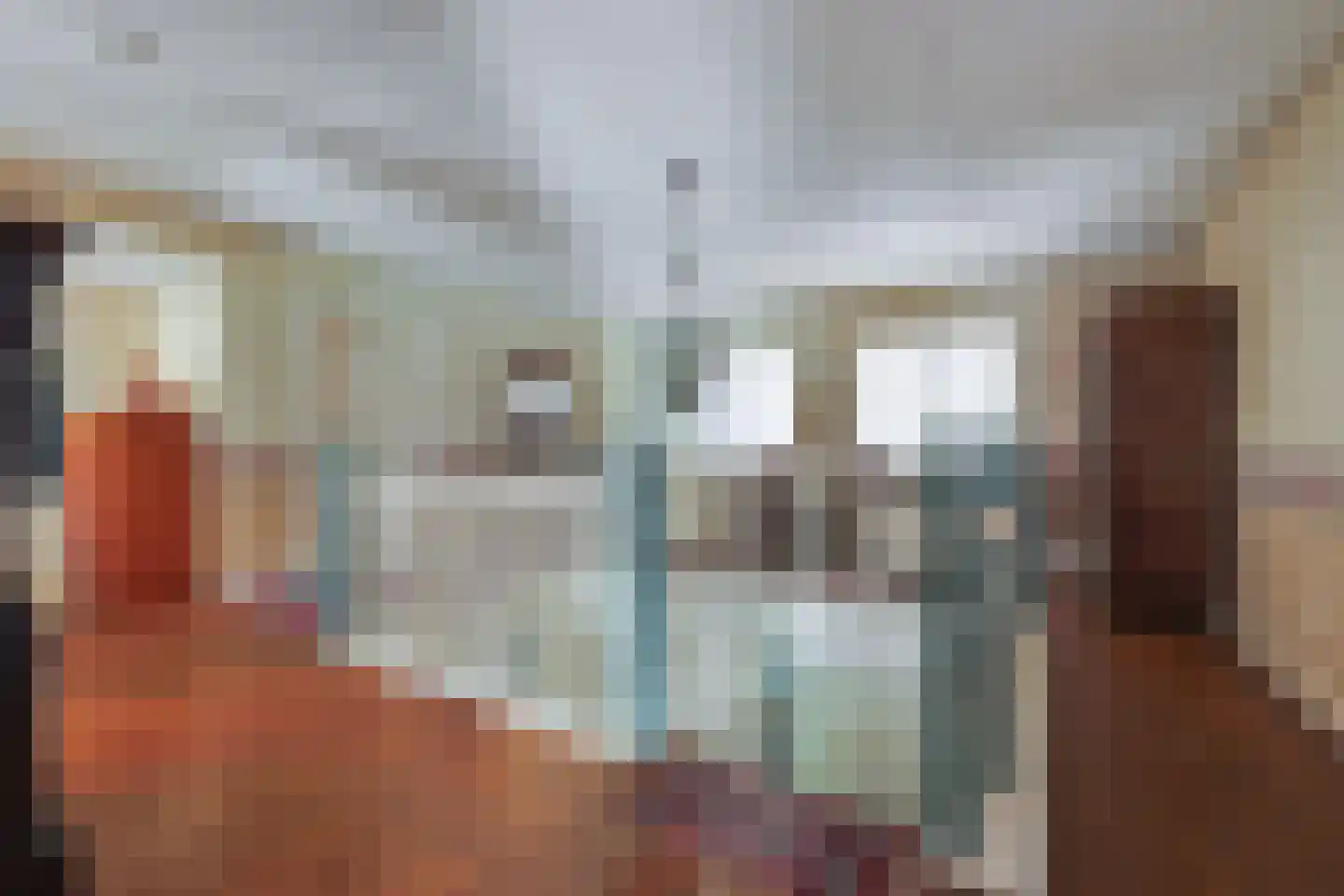 Dorpsstraat 130 Assendelft thumbnail 37