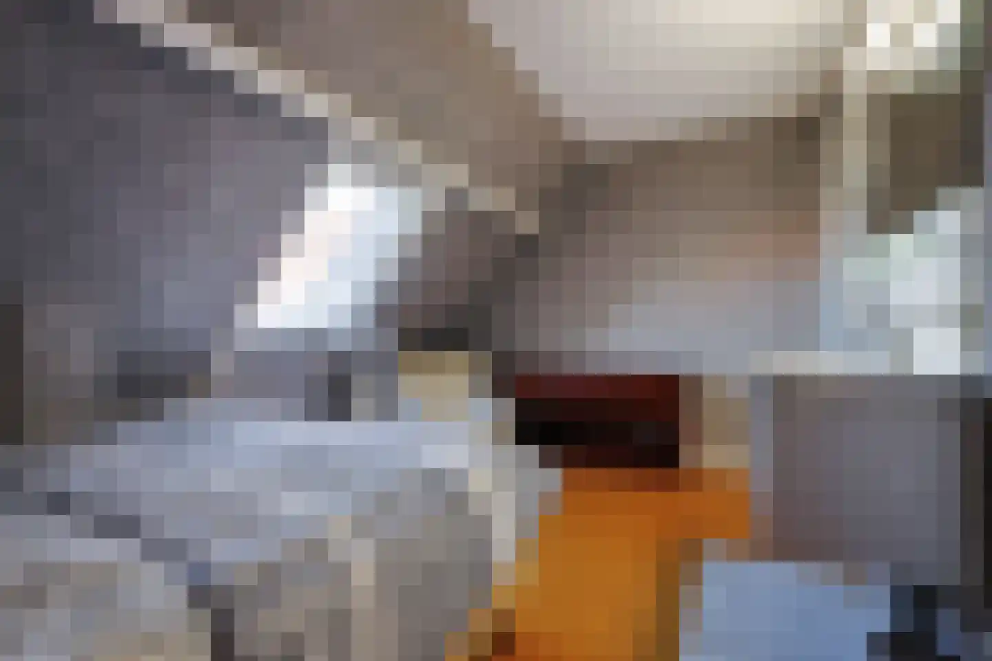 Dorpsstraat 130 Assendelft thumbnail 47