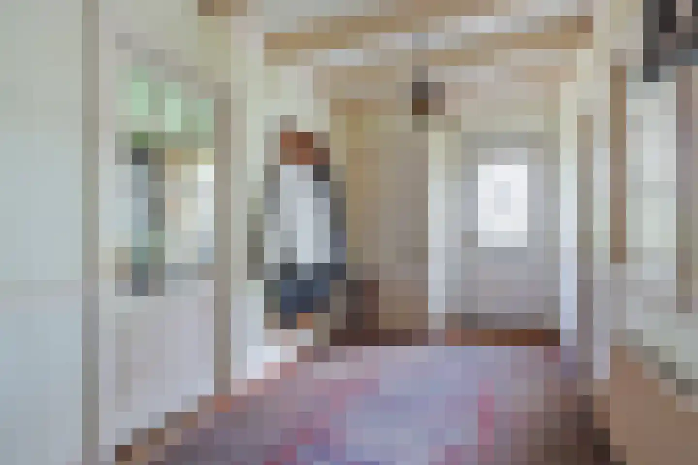 Dorpsstraat 130 Assendelft thumbnail 5