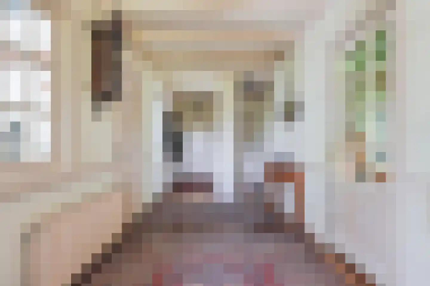 Dorpsstraat 130 Assendelft thumbnail 6