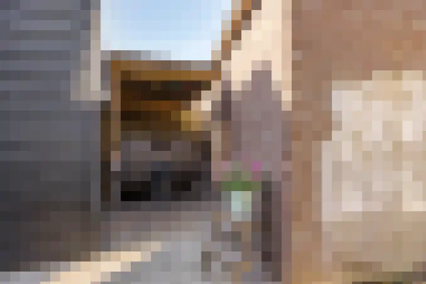 Dorpsstraat 131 Benthuizen thumbnail 39