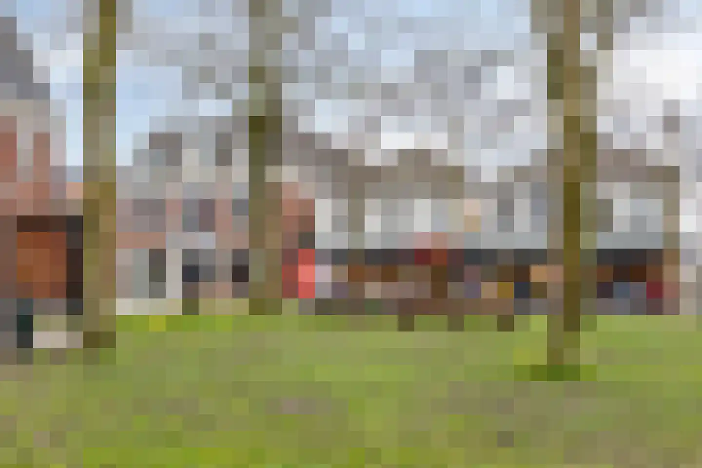 Dorpsstraat 131 C Lunteren thumbnail 31