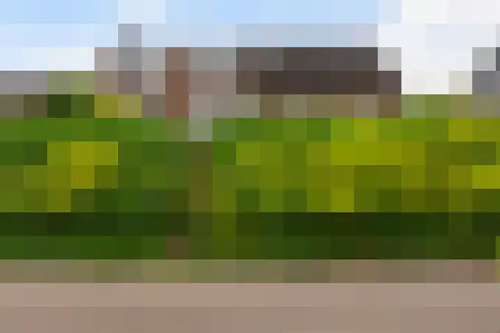Dorpsstraat 134 Heinenoord thumbnail 5