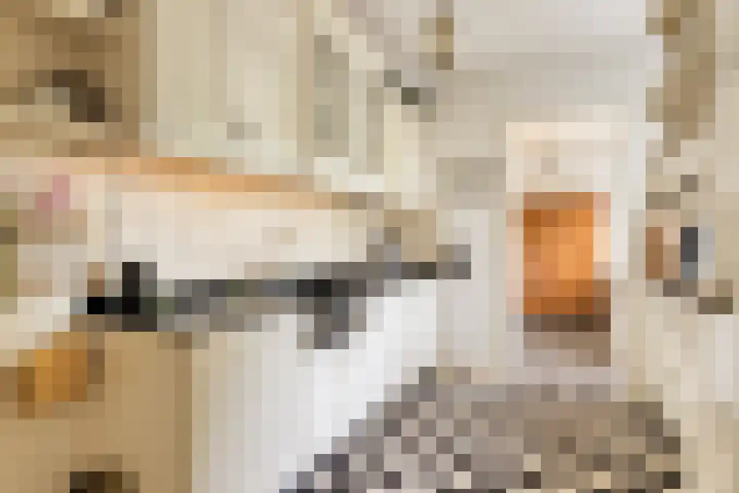 Dorpsstraat 135 Benthuizen thumbnail 11