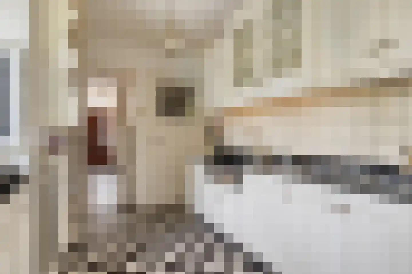 Dorpsstraat 135 Benthuizen thumbnail 12
