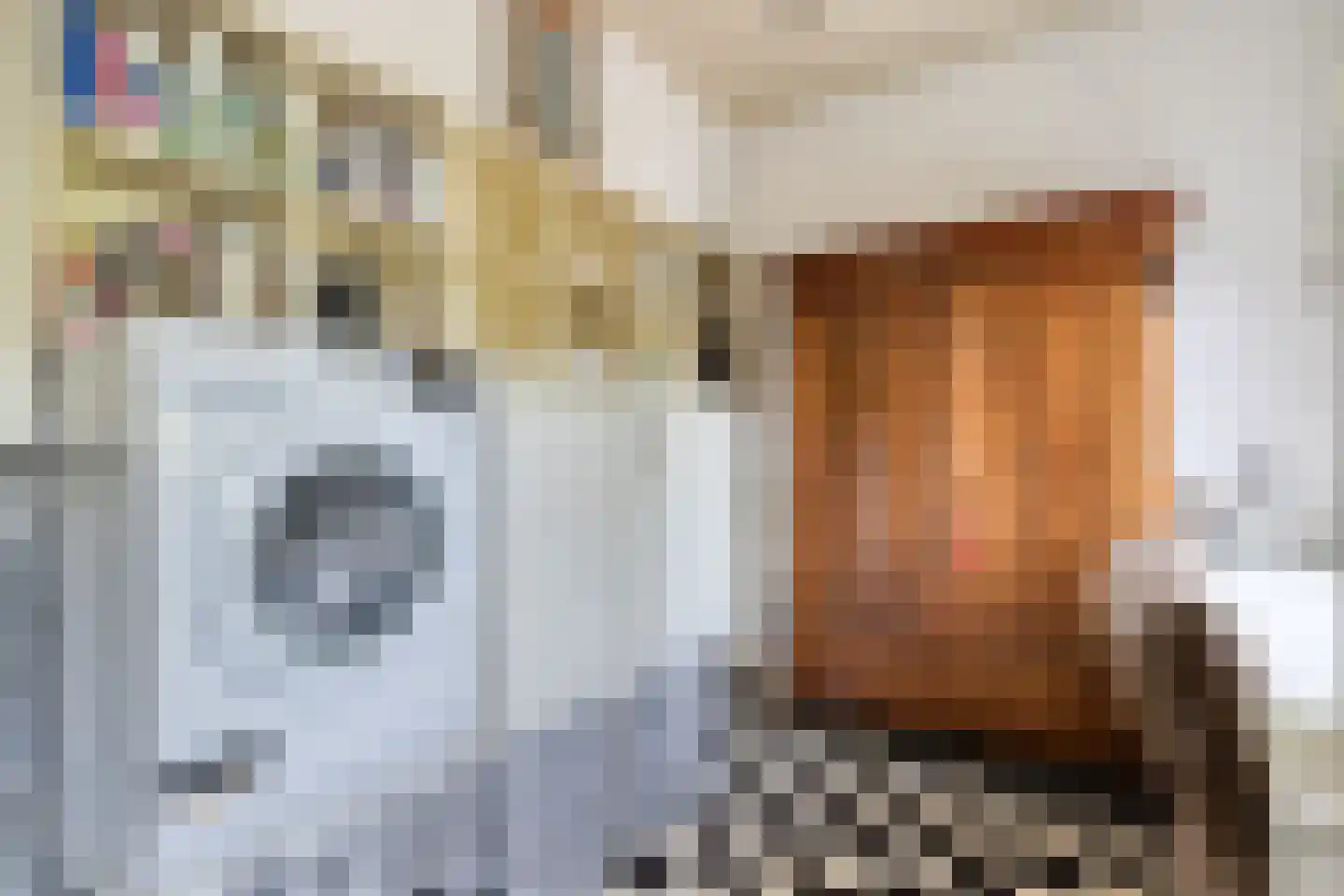 Dorpsstraat 135 Benthuizen thumbnail 14