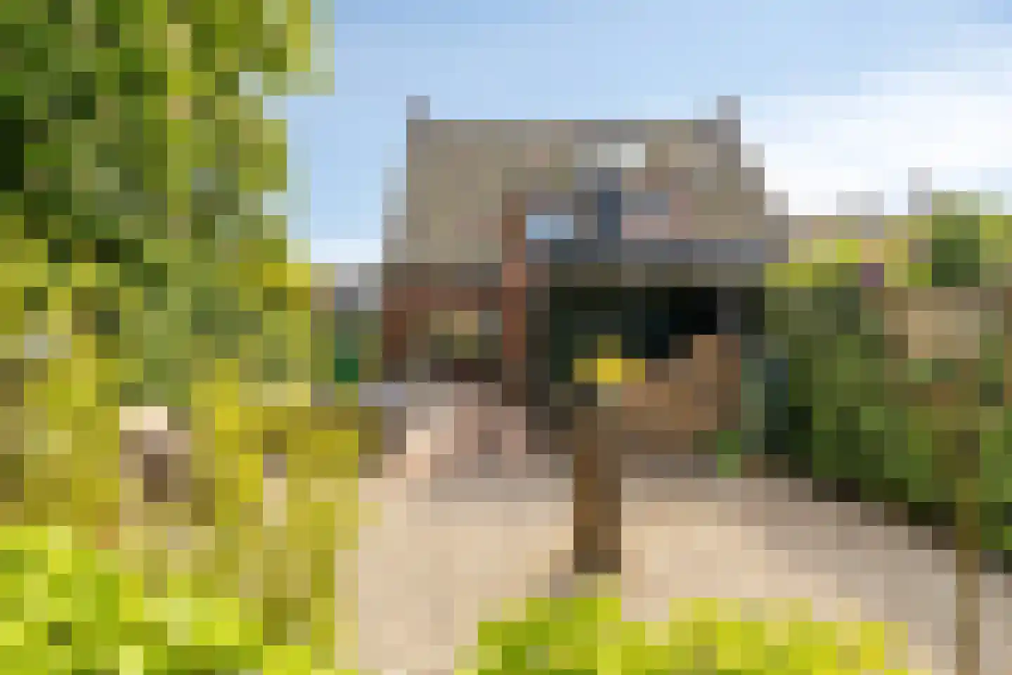 Dorpsstraat 135 Benthuizen thumbnail 20