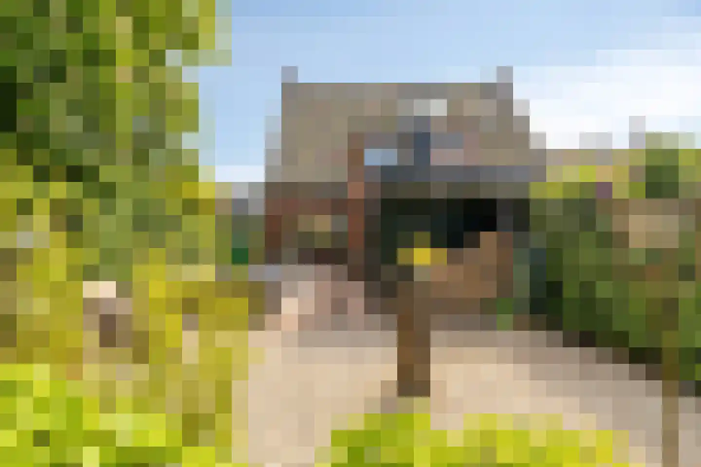 Dorpsstraat 135 Benthuizen thumbnail 21