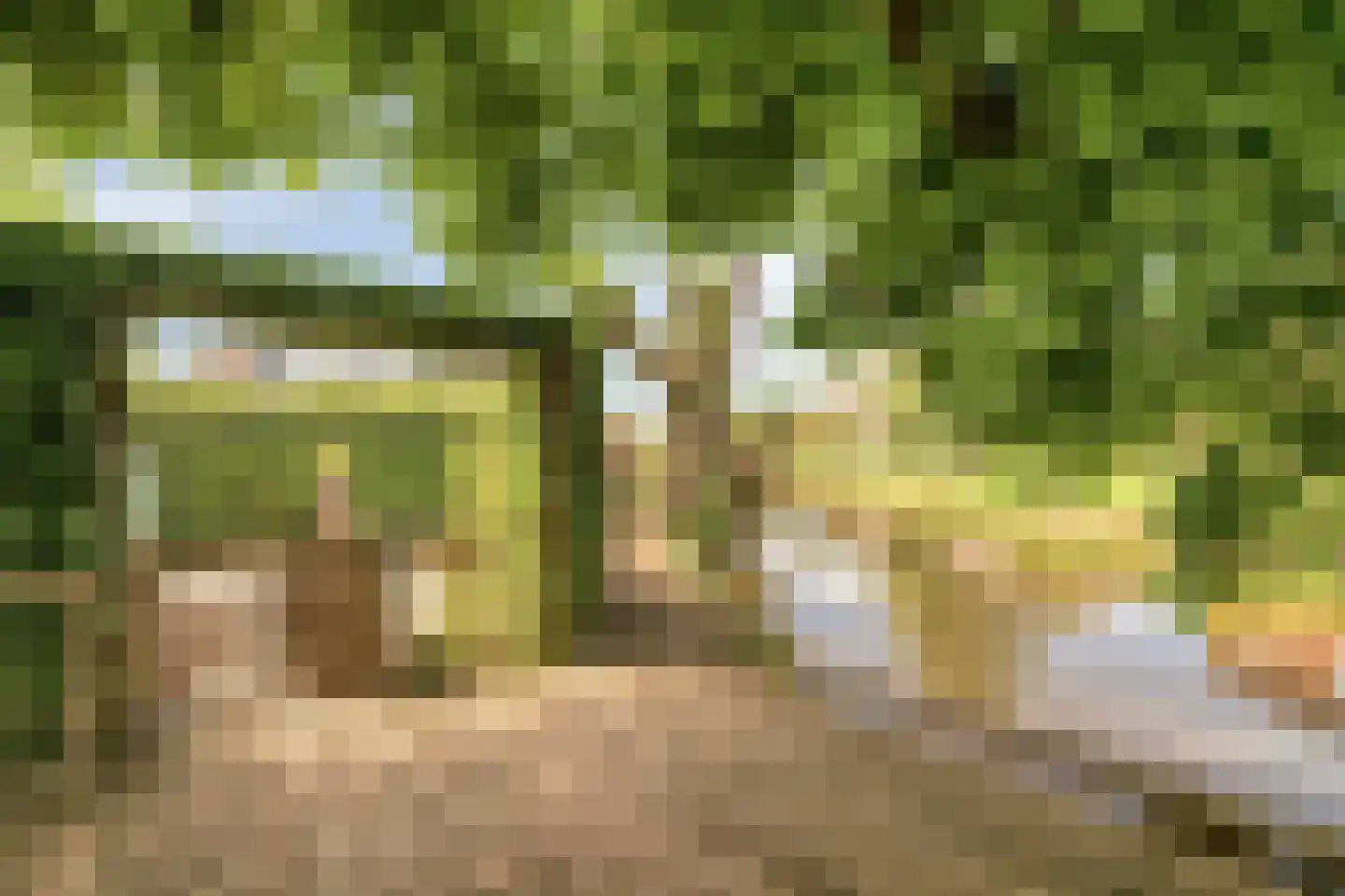 Dorpsstraat 135 Benthuizen thumbnail 22
