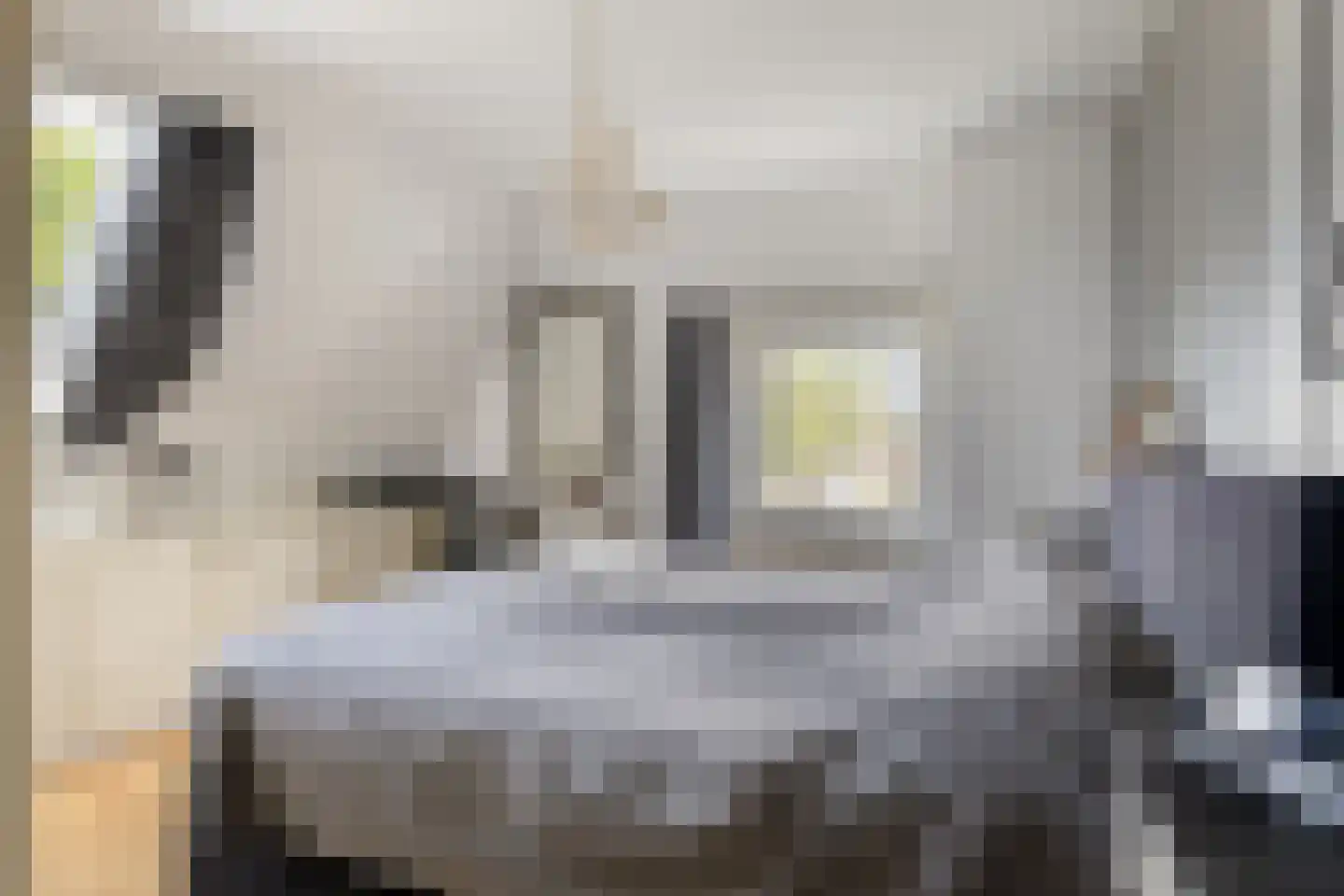 Dorpsstraat 135 Benthuizen thumbnail 26