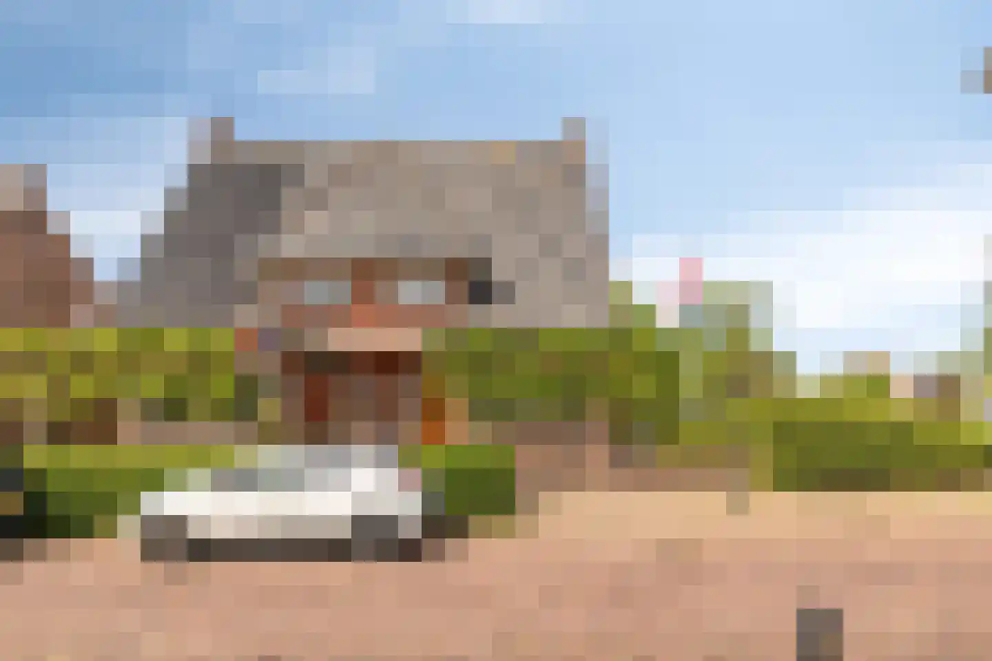 Dorpsstraat 135 Benthuizen thumbnail 37