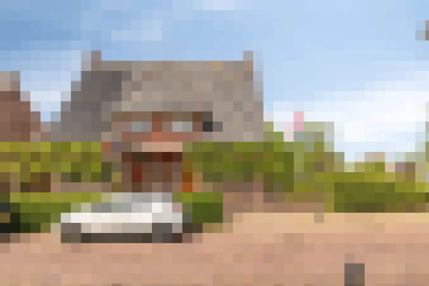 Dorpsstraat 135 Benthuizen thumbnail 38