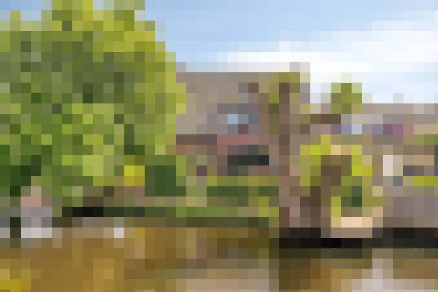 Dorpsstraat 135 Benthuizen thumbnail 40