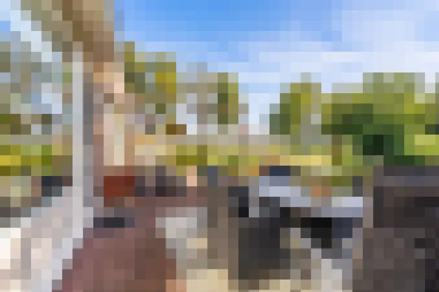 Dorpsstraat 135 Vriescheloo thumbnail 15