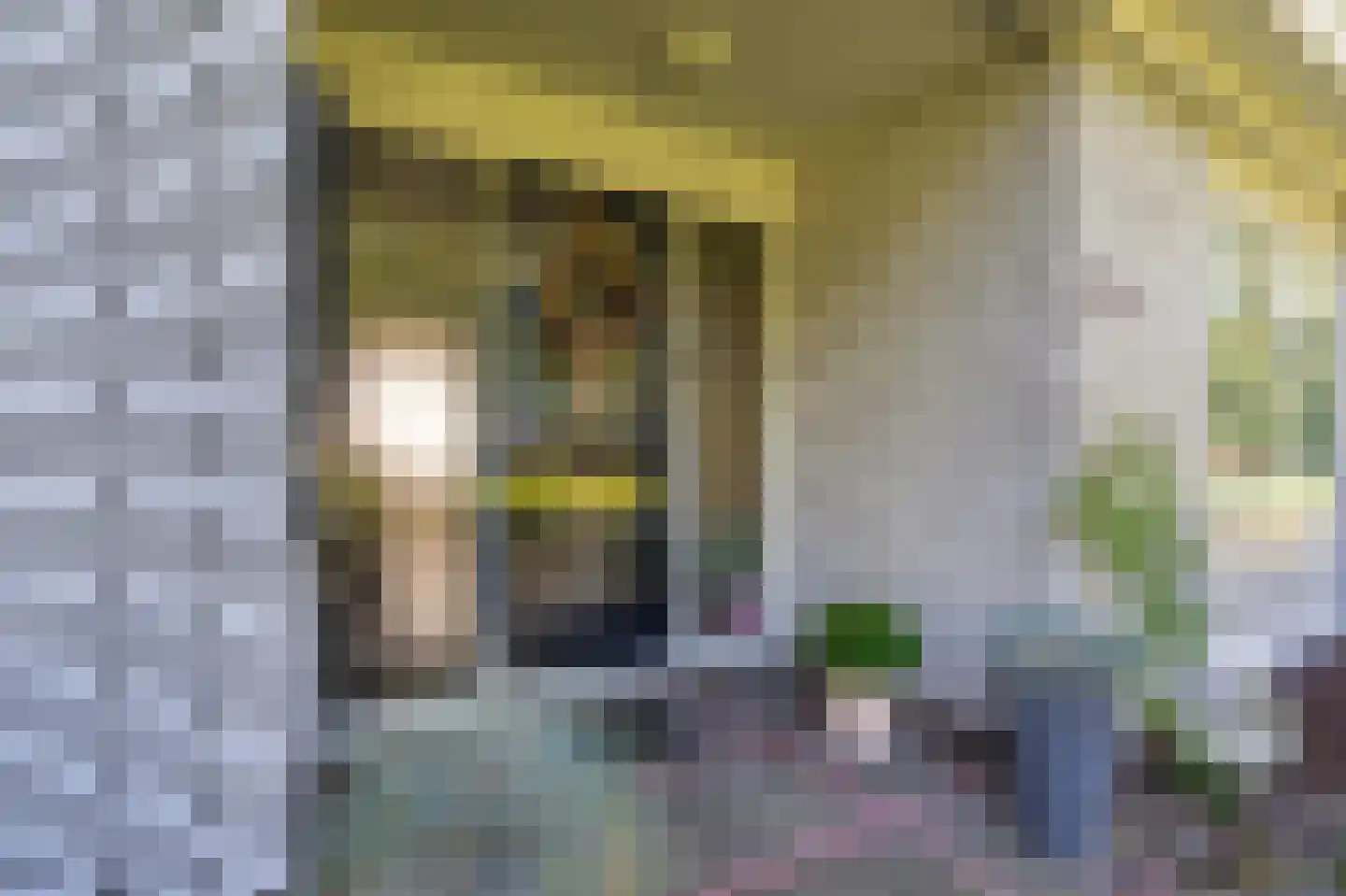 Dorpsstraat 135 Vriescheloo thumbnail 24