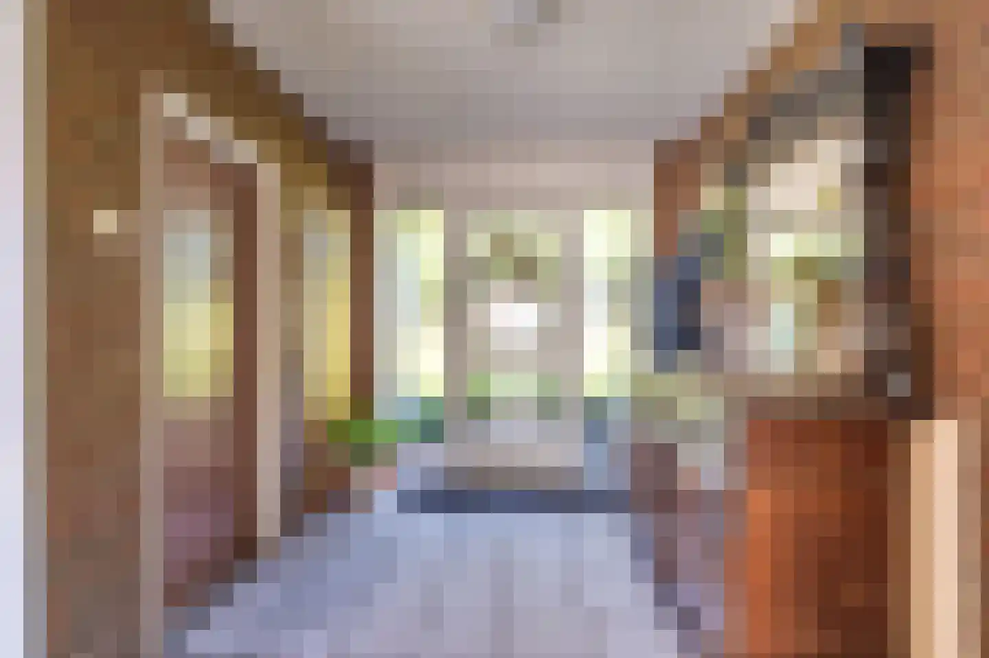 Dorpsstraat 135 Vriescheloo thumbnail 25