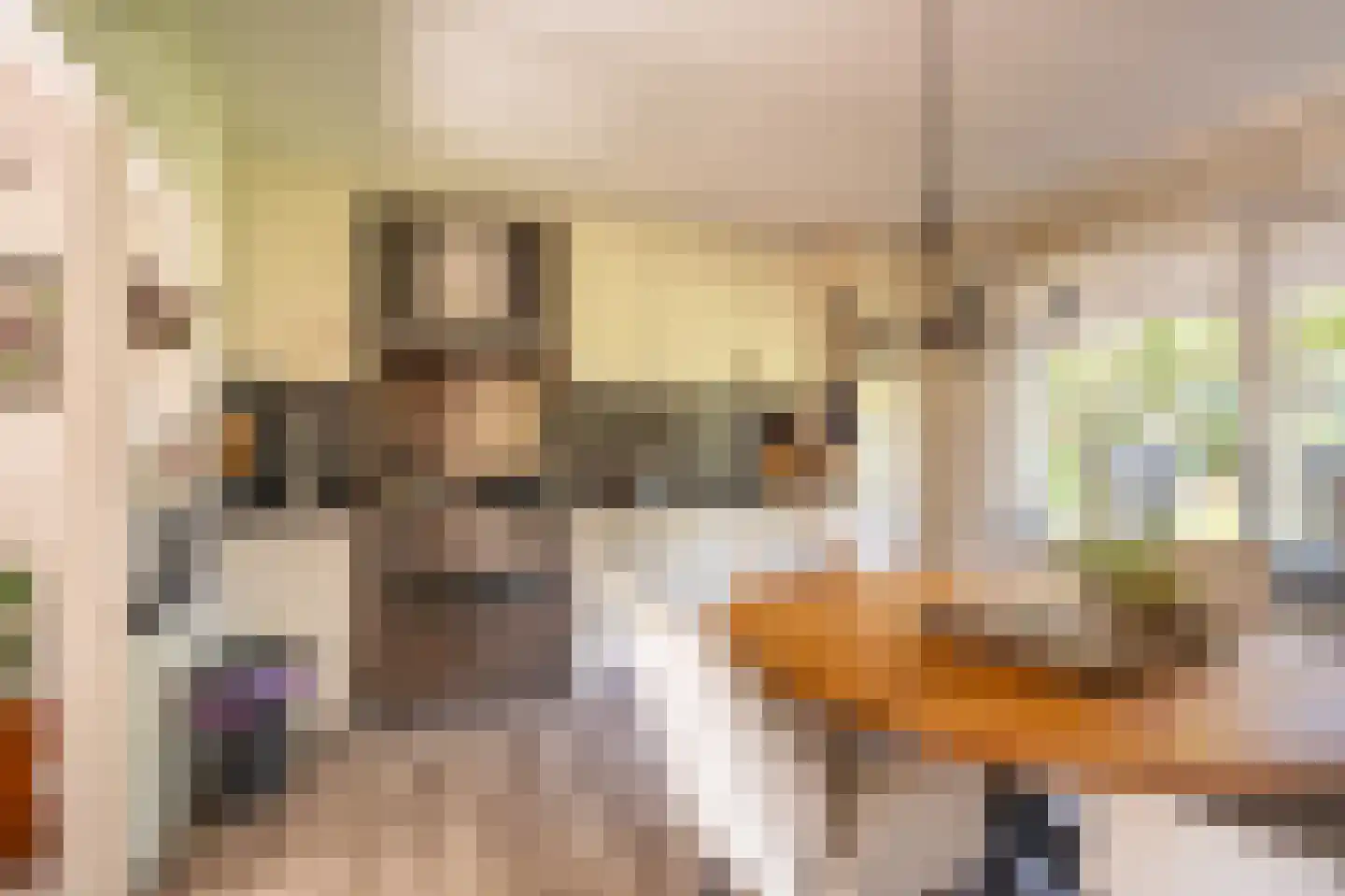Dorpsstraat 135 Vriescheloo thumbnail 27