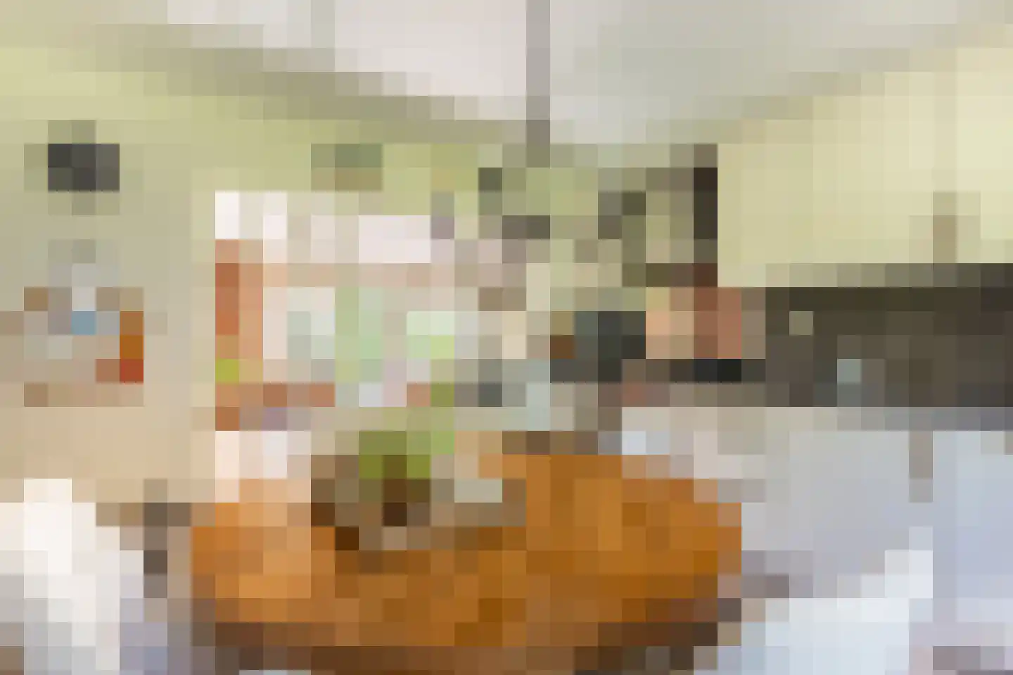 Dorpsstraat 135 Vriescheloo thumbnail 28