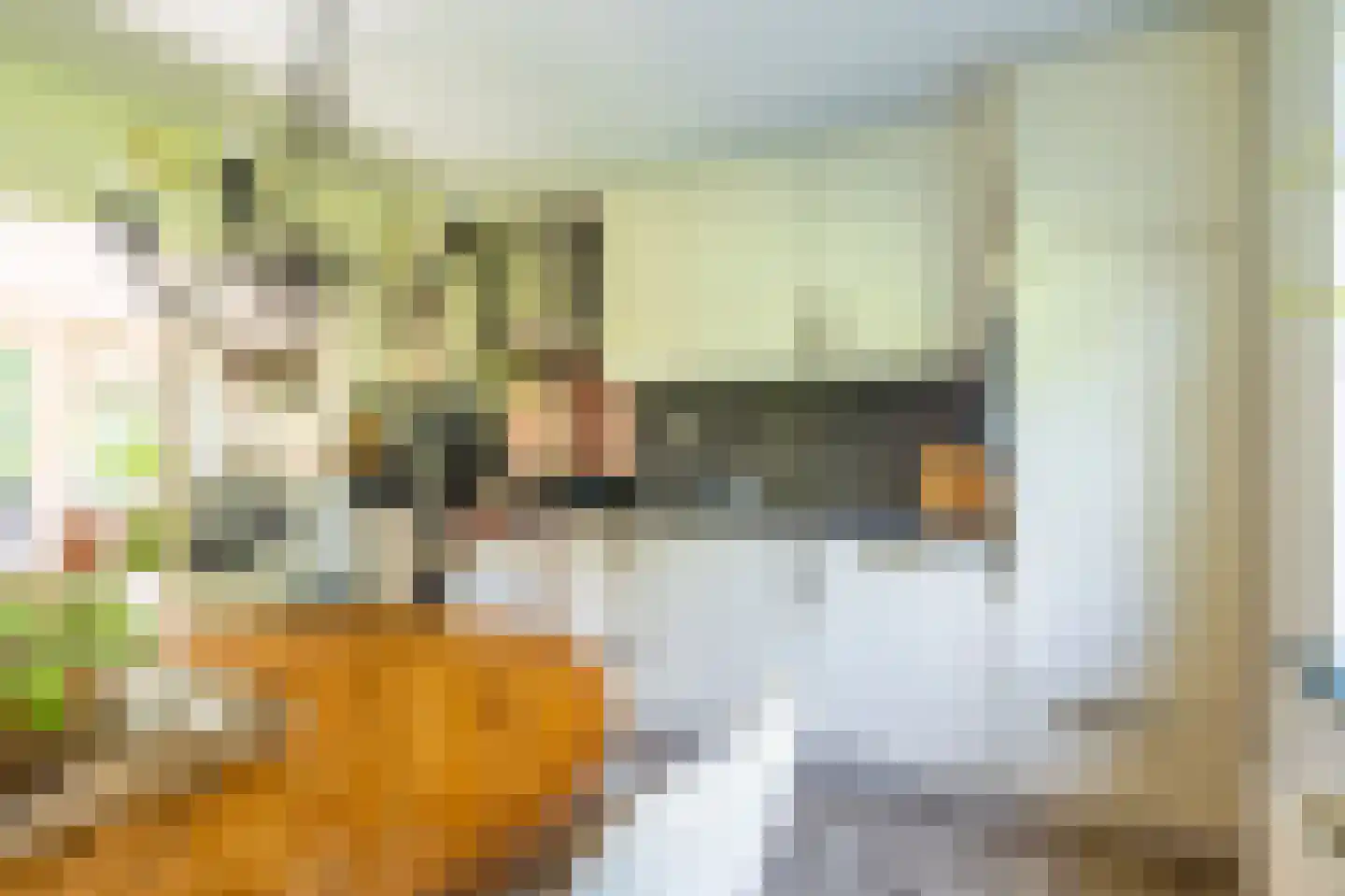 Dorpsstraat 135 Vriescheloo thumbnail 29