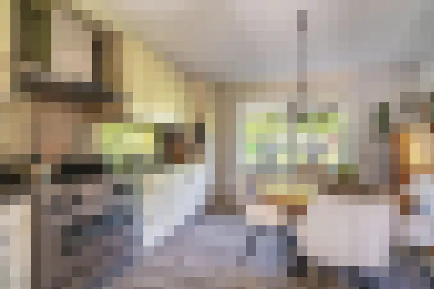 Dorpsstraat 135 Vriescheloo thumbnail 30