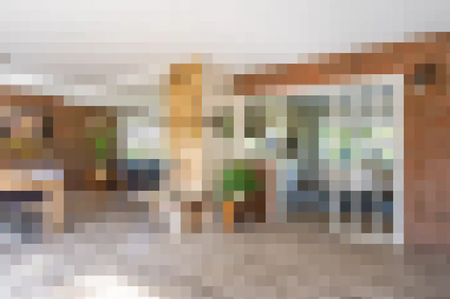 Dorpsstraat 135 Vriescheloo thumbnail 32