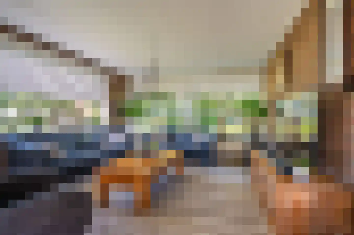 Dorpsstraat 135 Vriescheloo thumbnail 35