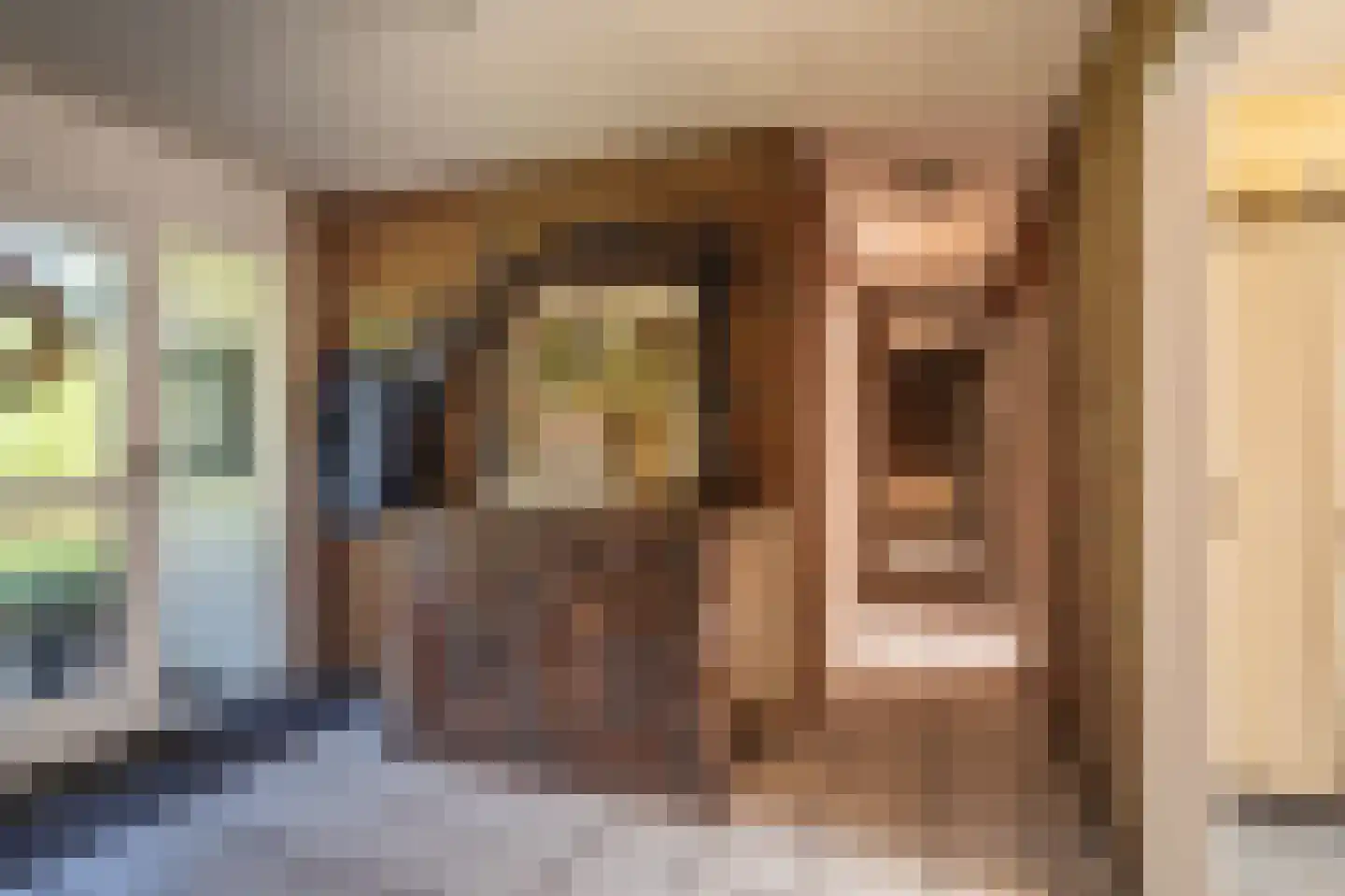 Dorpsstraat 135 Vriescheloo thumbnail 43