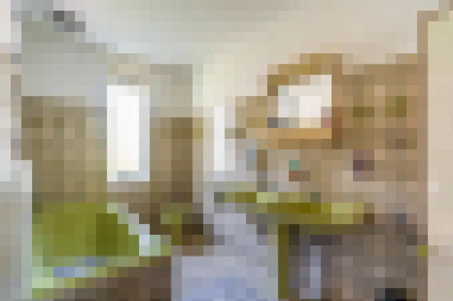 Dorpsstraat 135 Vriescheloo thumbnail 48