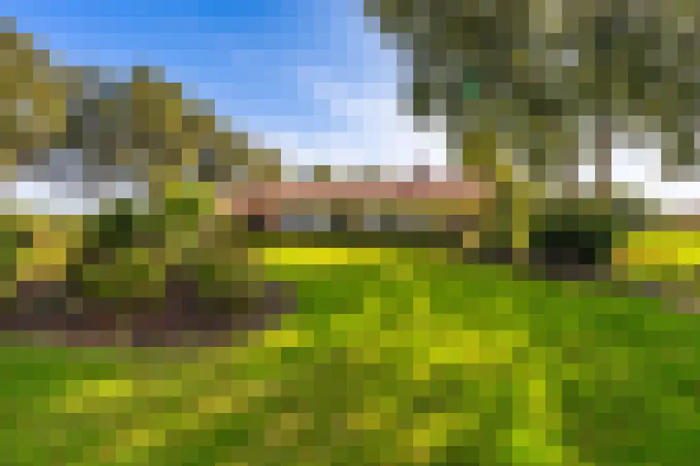 Dorpsstraat 135 Vriescheloo thumbnail 5