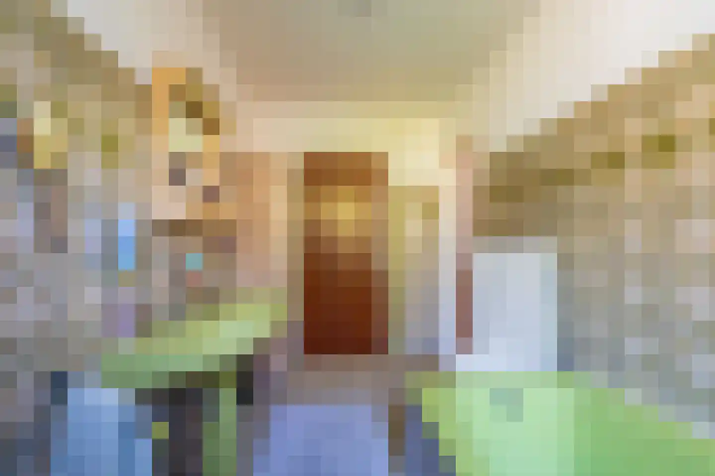 Dorpsstraat 135 Vriescheloo thumbnail 50