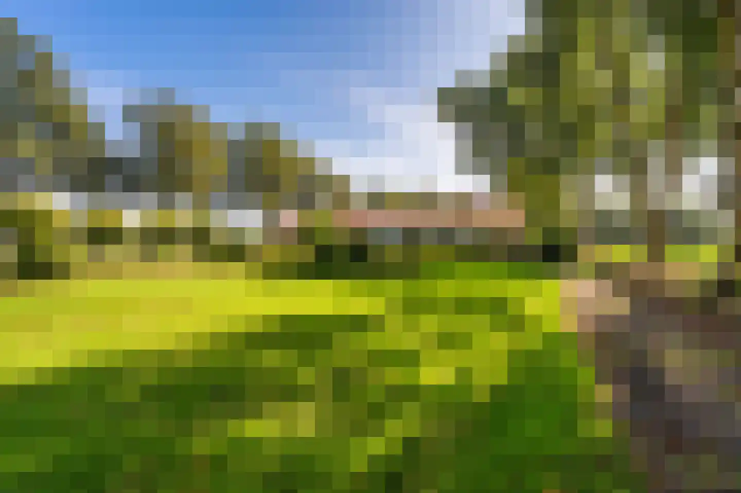 Dorpsstraat 135 Vriescheloo thumbnail 6