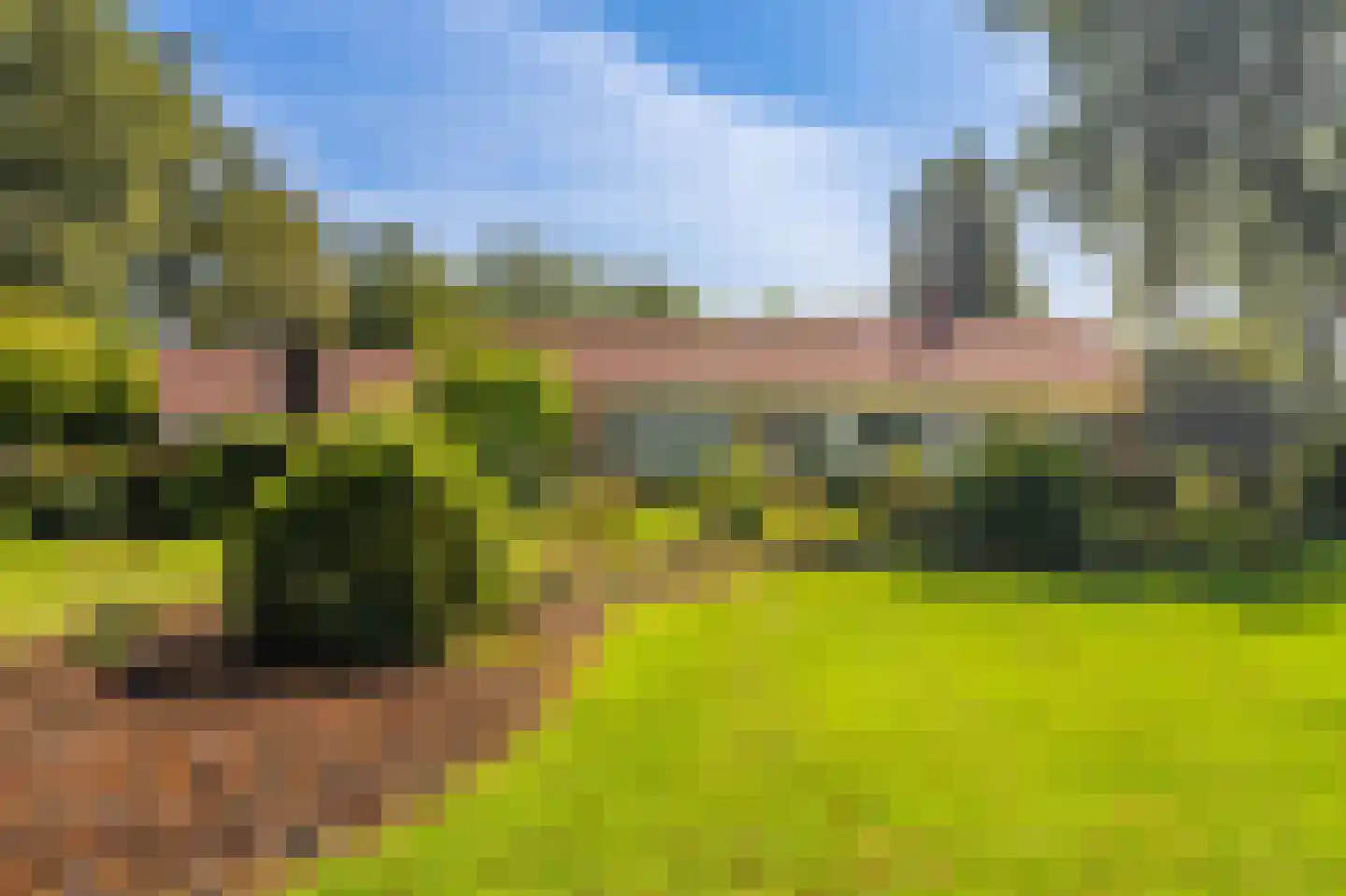 Dorpsstraat 135 Vriescheloo thumbnail 7