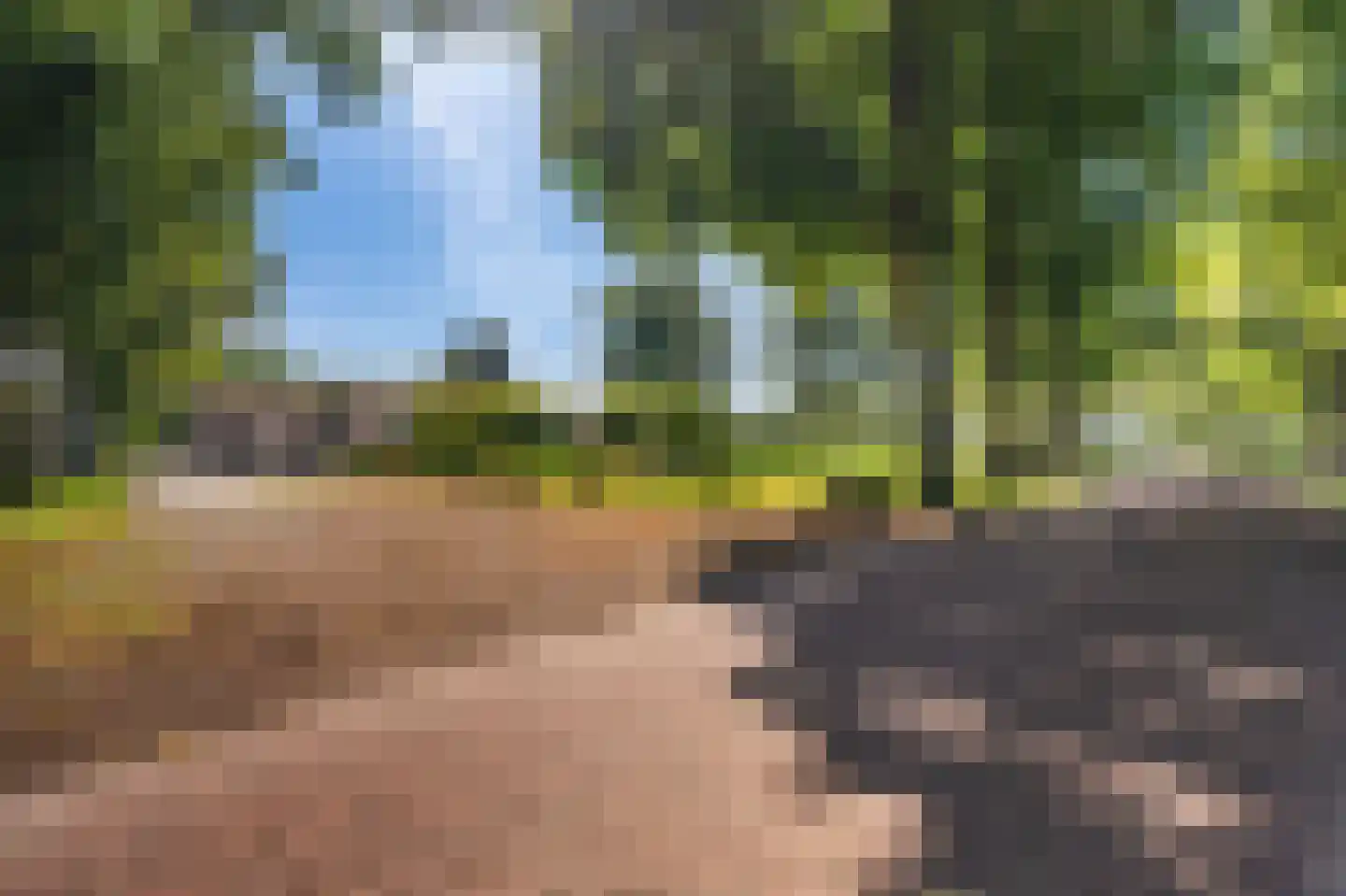 Dorpsstraat 135 Vriescheloo thumbnail 9