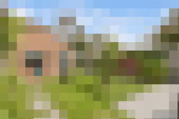 Dorpsstraat 136 Zwaag thumbnail 47