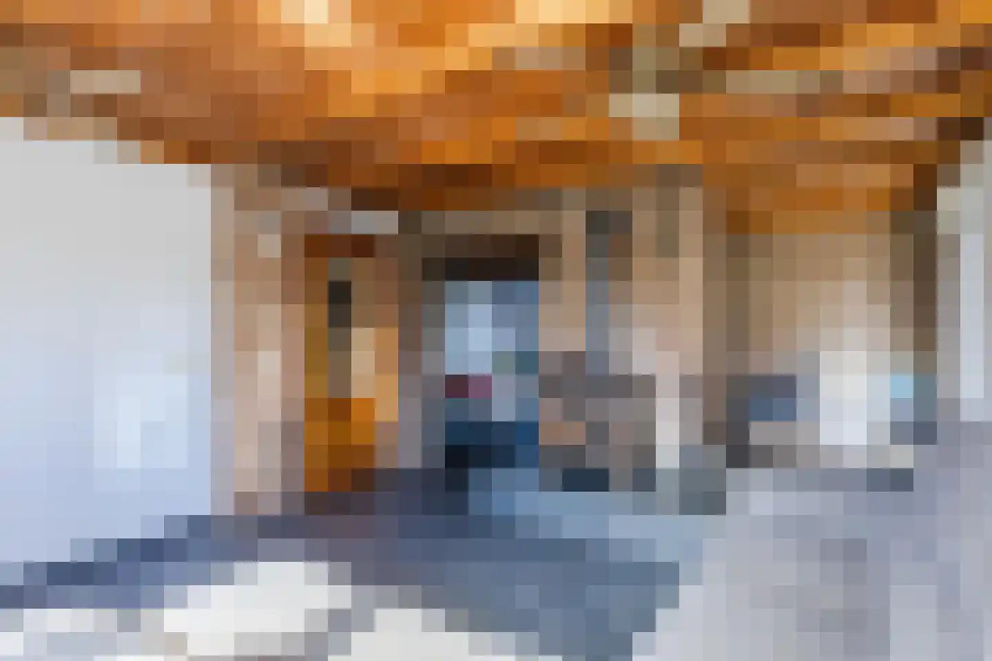 Dorpsstraat 138 B Assendelft thumbnail 15
