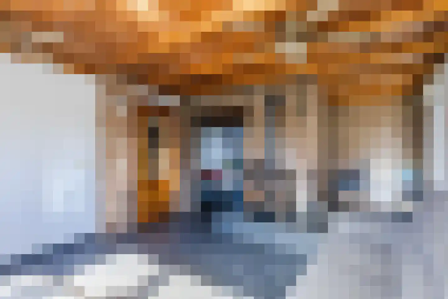 Dorpsstraat 138 B Assendelft thumbnail 15
